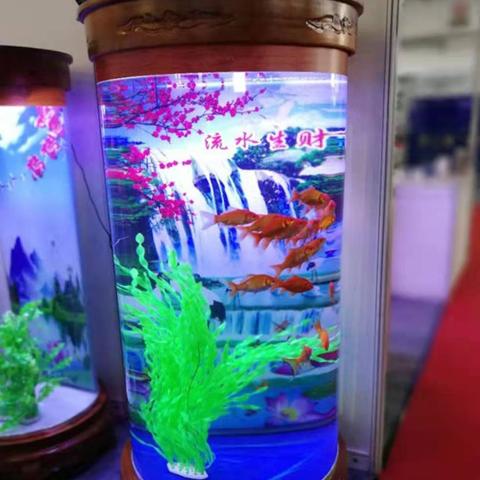 有效提升七彩鱼苗生长速度的方法与技巧，助你轻松养出健康美丽的七彩鱼
