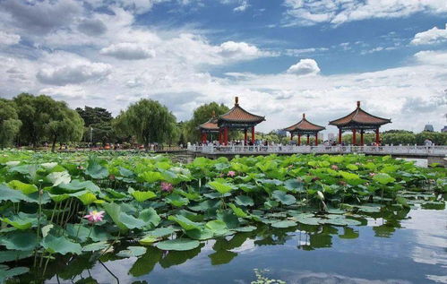 华夏绘世录在哪个软件上？有哪些在线平台可以体验华夏绘世录？