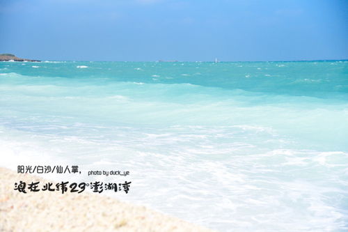 漫步在夏日幻想中：探索阳光、海浪与梦境交织的完美假期