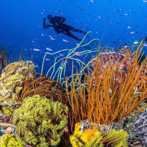 (深海宝藏下载)深海宝藏礼盒换取地点在哪里？深海宝藏礼盒换取地点查询指南