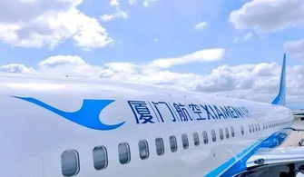 黎明航线停服：航空公司业务突然终止，乘客受影响，临时解决方案亟待出台