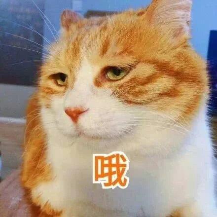 (lt生存反击战英雄版装备合成)LT英雄生存反击英雄版攻略：如何在战场上生存并成功反击敌人？