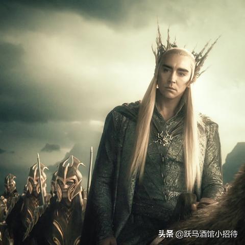 瑟兰督伊的脸怎么了？她的表情为何如此古怪，是否有隐藏的故事？