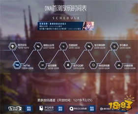 (代号密码)解密代号DL：揭秘背后的秘密行动和神秘身份