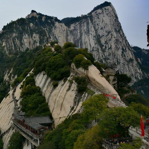 四肖中特期期准四肖期期准429|定性分析解释落实_潜能款.9.418