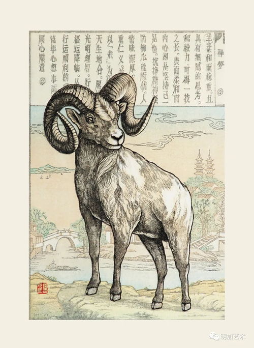 四不像正版资料最新版|正确解答落实_钻石集.2.750