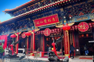 王中王资料大全枓大全正使用教程|新趋势下的投资攻略与机遇_HDR.5.67