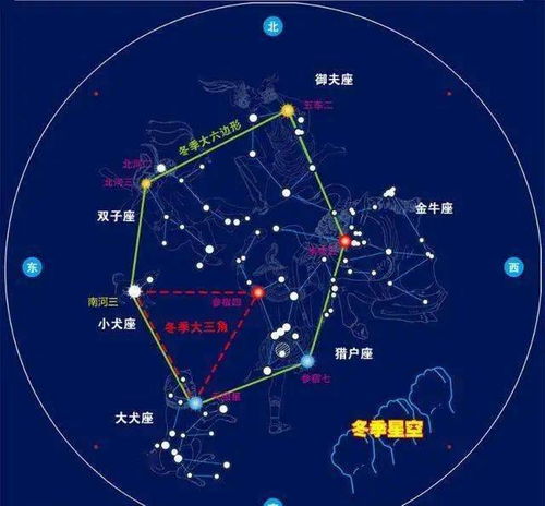 2021年澳门精准免费资料金牛|发现未知世界的奇妙旅程_定制版.2.239