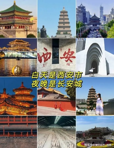 新澳天天开奖资料大全旅游团|探索城市新魅力让旅行更精彩_潜能款.6.32