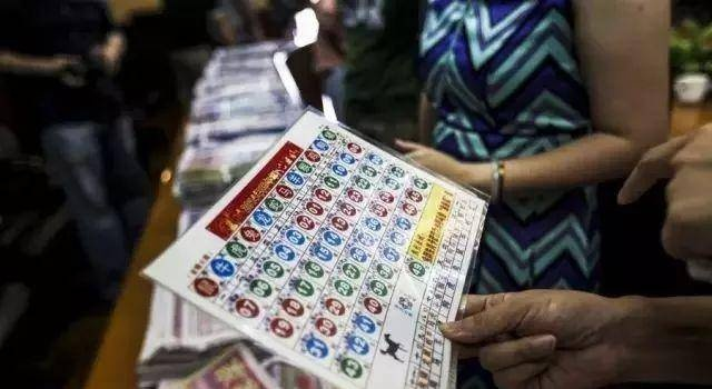二码中特期期准资料|经典解释落实_简易制.5.271