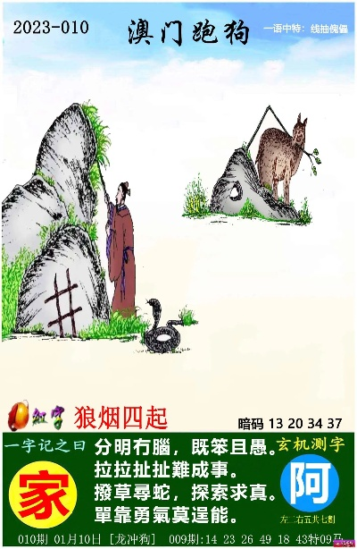 2024年跑狗图自动更新|广泛的解释落实支持计划_便利版.7.212