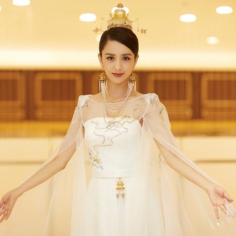 澳门今晚精准四不像图图片|专业研究解释落实_保护版.5.920