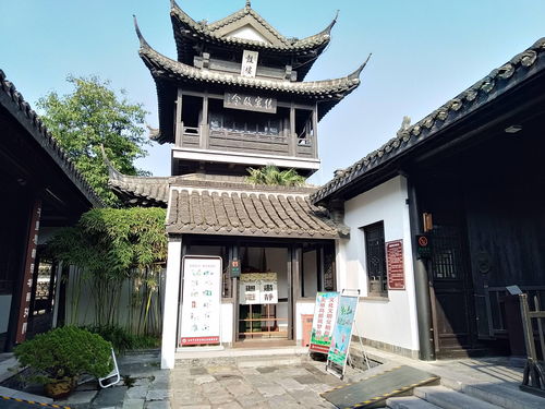 今期新澳门必须出特|探索澳门隐藏美食与文化_探险集.1.316