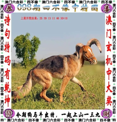 澳门四不像精选免费资料|广泛的关注解释落实热议_梦幻版HS.7.630