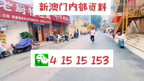 2024澳门天天开好彩大全46期|科学依据解释落实_tool.8.370