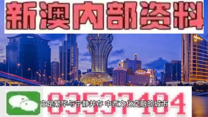 新澳门内部一码最精准公开|权威研究解释落实_长期品.3.711