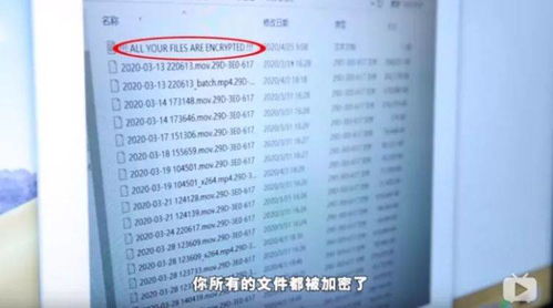 香港内部公开资料最准确|综合研究解释落实_解密版.4.940