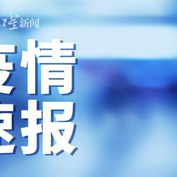香港内部资料免费期期准|效率资料解释落实_组件集.4.813
