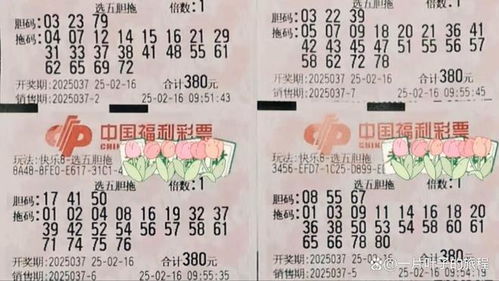 澳门彩今晚开奖结果是什么|探索未知世界的新视角_红单版.9.467