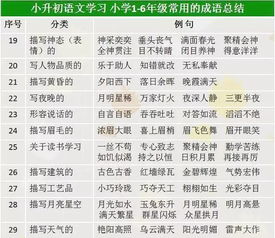 2024正版资料免费大全|确保成语解释落实的问题_冒险版Eleme.8.254