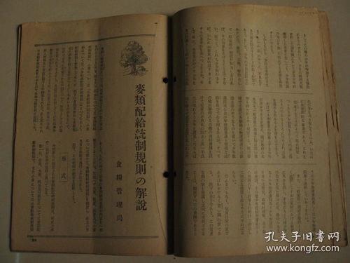 黄大仙中特正版论访资料大全|绝对经典解释落实_开发版.9.247