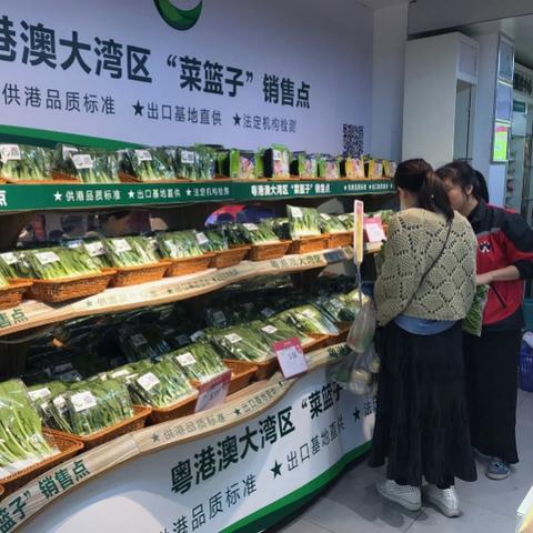 澳门今天晚上买什么|权威解答解释落实_梦幻版APP.0.682