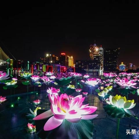澳门跑狗图图库资料亮点|幸运之旅探索新机会_维护版.4.887