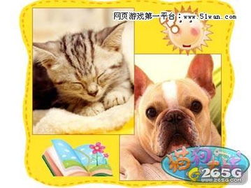 猫狗缠斗2024最新版本下载-猫狗缠斗3d游戏下载v.8.18 猫狗缠斗2024最新版本下载-猫狗缠斗3d游戏下载v.8.18