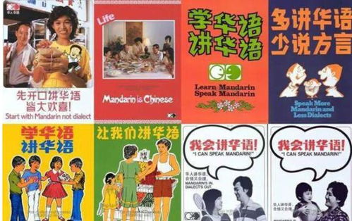 班班幼儿园起源中文版钞票版下载-班班幼儿园起源中文版无广吿免费下载v.6.54