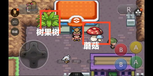 口袋妖怪火红金手指下载安卓-口袋妖怪火红金手指无限零件下载v.2.81
